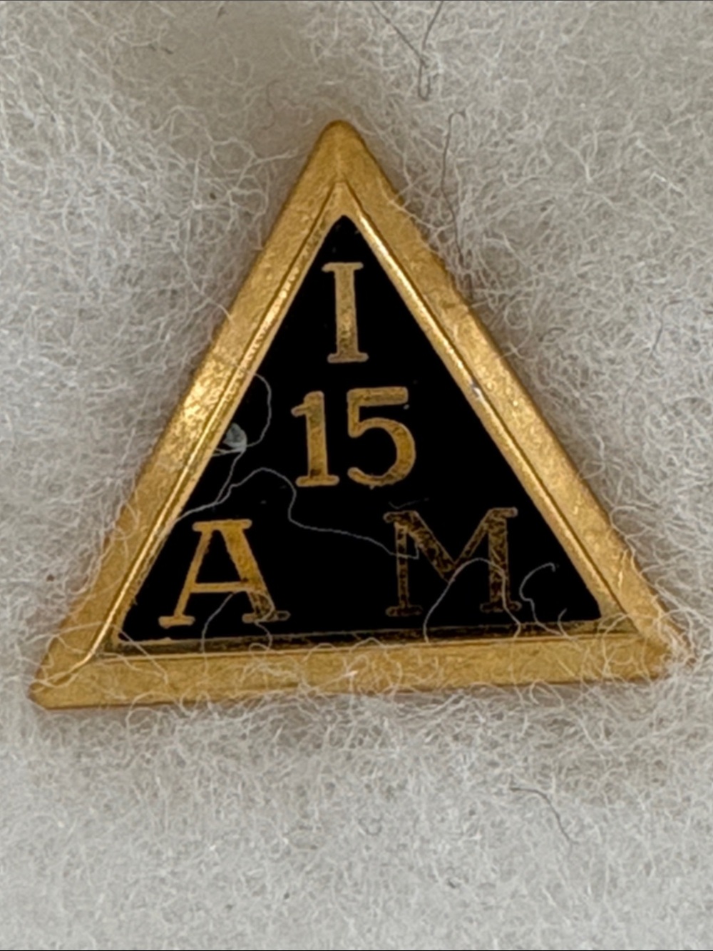IAM 15 Year Service Pin International Association Of Machinists Collectible VTG